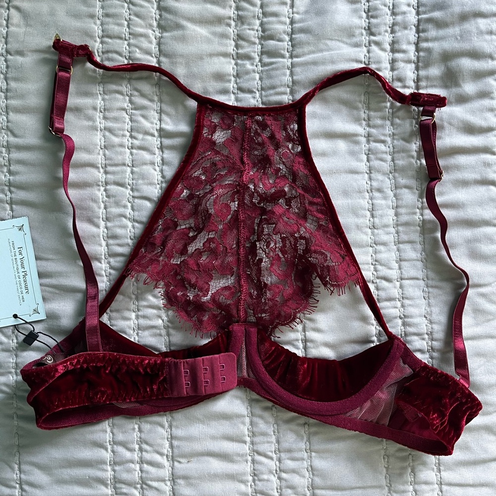 Coco de Mer Burgundy bra